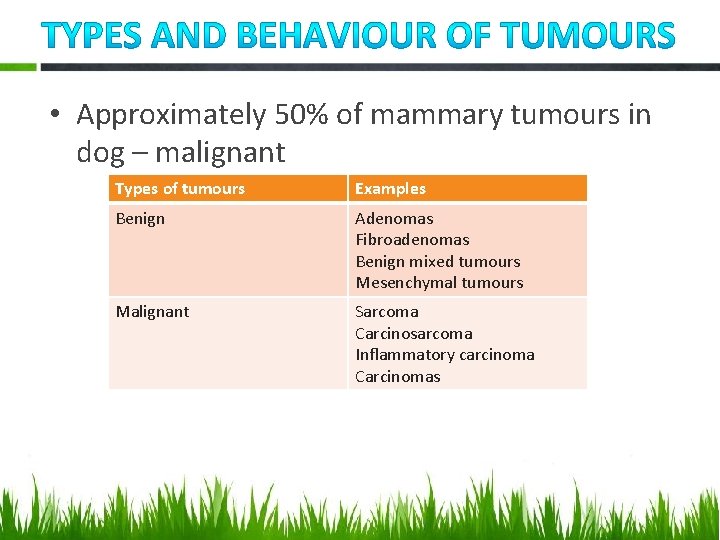  • Approximately 50% of mammary tumours in dog – malignant Types of tumours