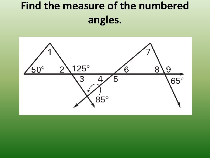 Find the measure of the numbered angles. 