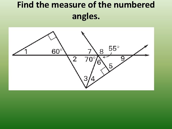 Find the measure of the numbered angles. 