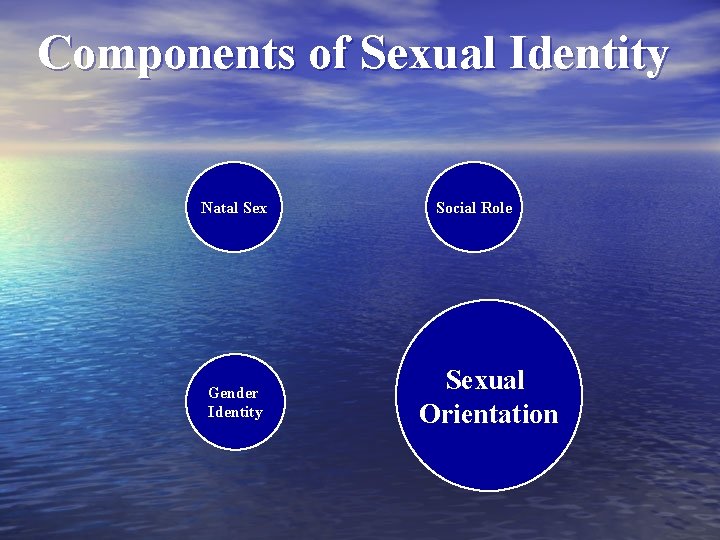 Components Of Sexual Identity Natal Sex Social Role