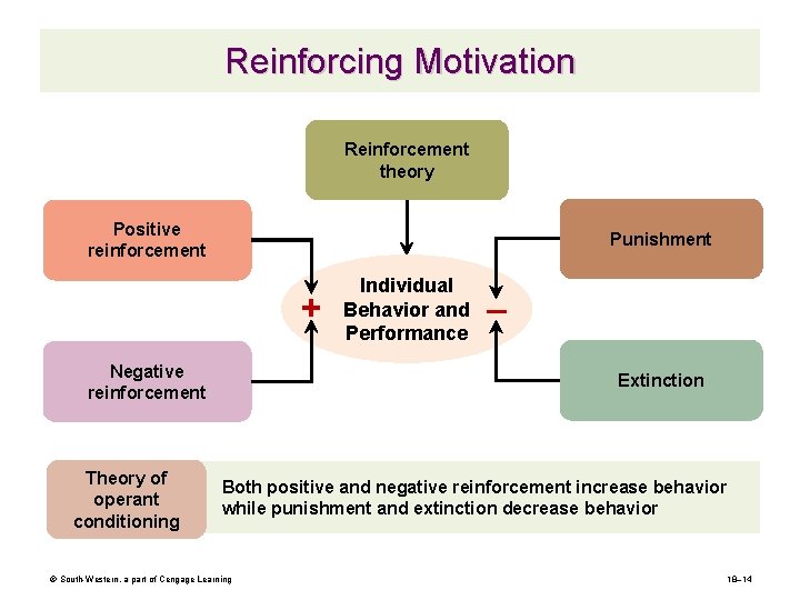 Reinforcing Motivation Reinforcement theory Positive reinforcement Punishment + Negative reinforcement Theory of operant conditioning