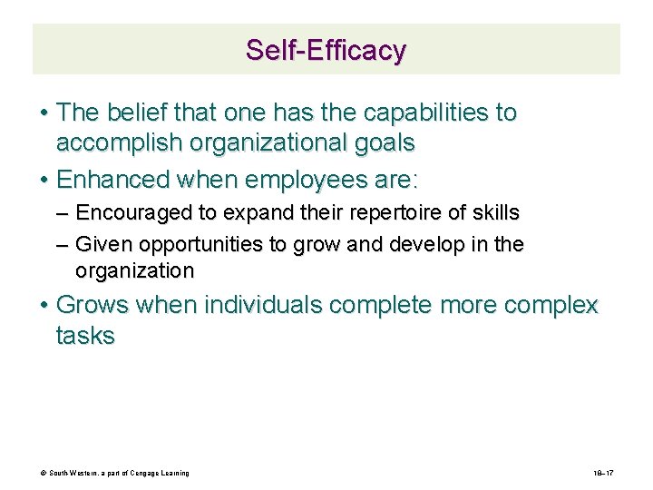 Self-Efficacy • The belief that one has the capabilities to accomplish organizational goals •
