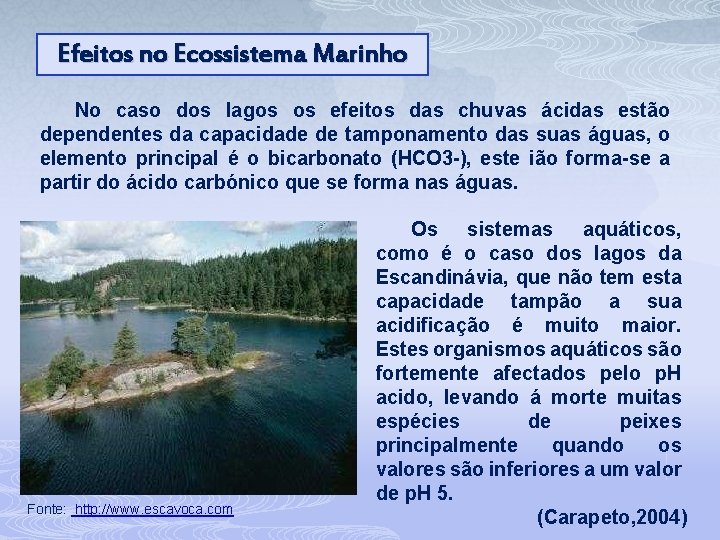 Efeitos no Ecossistema Marinho No caso dos lagos os efeitos das chuvas ácidas estão