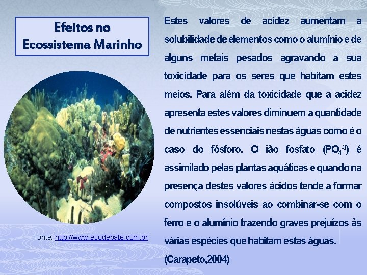 Efeitos no Ecossistema Marinho Estes valores de acidez aumentam a solubilidade de elementos como