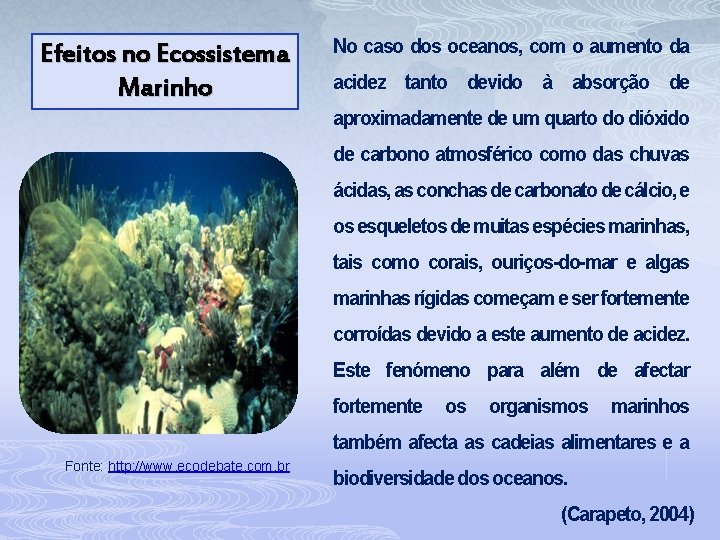 Efeitos no Ecossistema Marinho No caso dos oceanos, com o aumento da acidez tanto