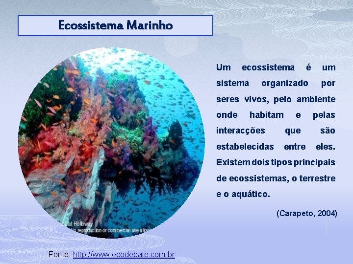 Ecossistema Marinho Um ecossistema é um organizado por seres vivos, pelo ambiente onde habitam