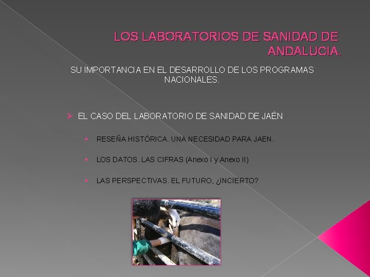 LOS LABORATORIOS DE SANIDAD DE ANDALUCIA. SU IMPORTANCIA EN EL DESARROLLO DE LOS PROGRAMAS LOS LABORATORIOS DE SANIDAD DE ANDALUCIA. SU IMPORTANCIA EN EL DESARROLLO DE LOS PROGRAMAS