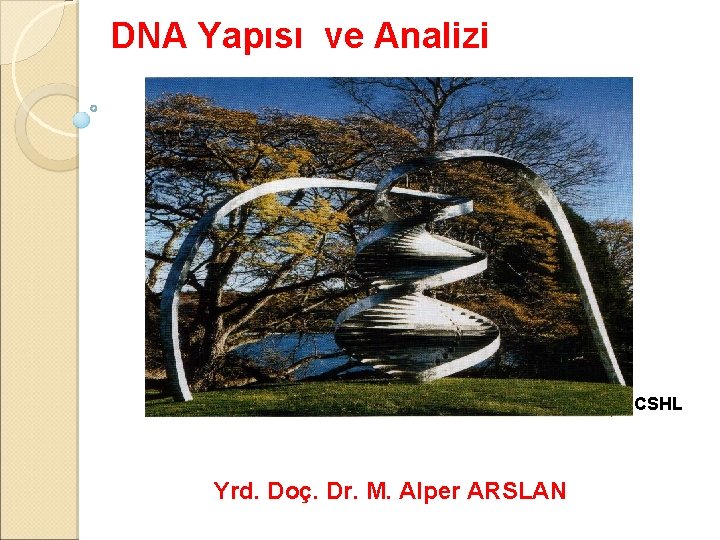 DNA Yapısı ve Analizi CSHL Yrd. Doç. Dr. M. Alper ARSLAN 