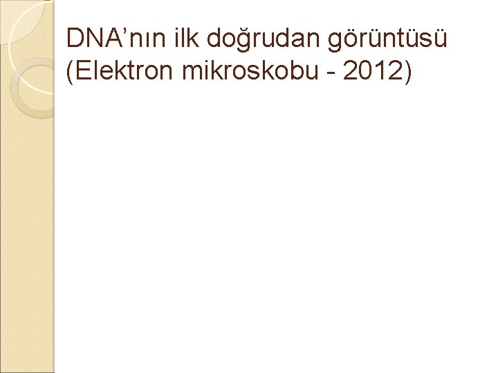 DNA’nın ilk doğrudan görüntüsü (Elektron mikroskobu - 2012) 