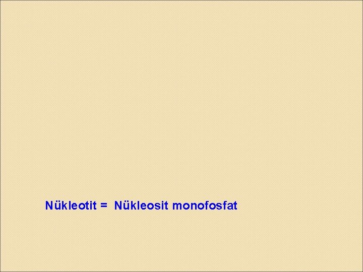 Nükleotit = Nükleosit monofosfat 