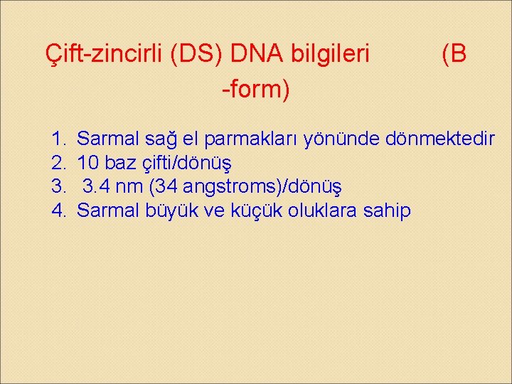 Çift-zincirli (DS) DNA bilgileri (B -form) 1. 2. 3. 4. Sarmal sağ el parmakları