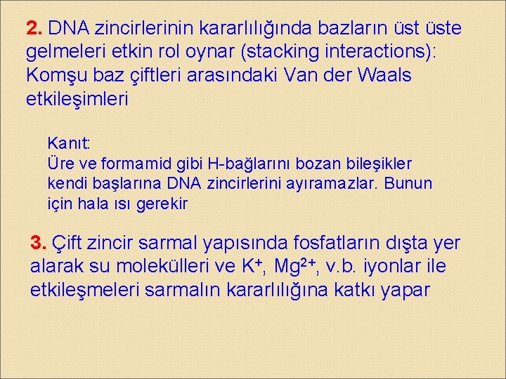 2. DNA zincirlerinin kararlılığında bazların üste gelmeleri etkin rol oynar (stacking interactions): Komşu baz