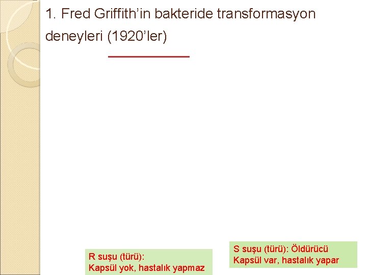 1. Fred Griffith’in bakteride transformasyon deneyleri (1920’ler) R suşu (türü): Kapsül yok, hastalık yapmaz