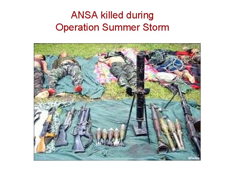 ANSA killed during Operation Summer Storm 