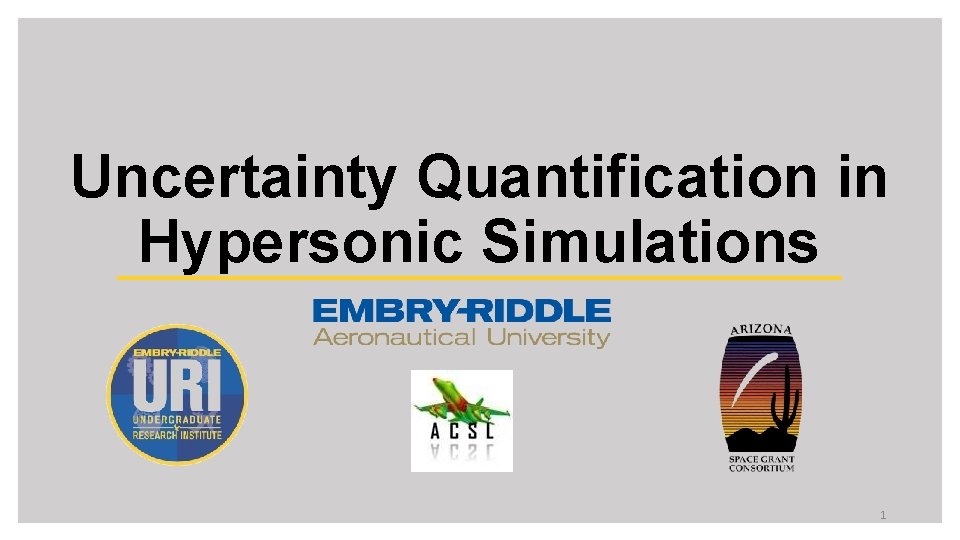 Uncertainty Quantification in Hypersonic Simulations 1 