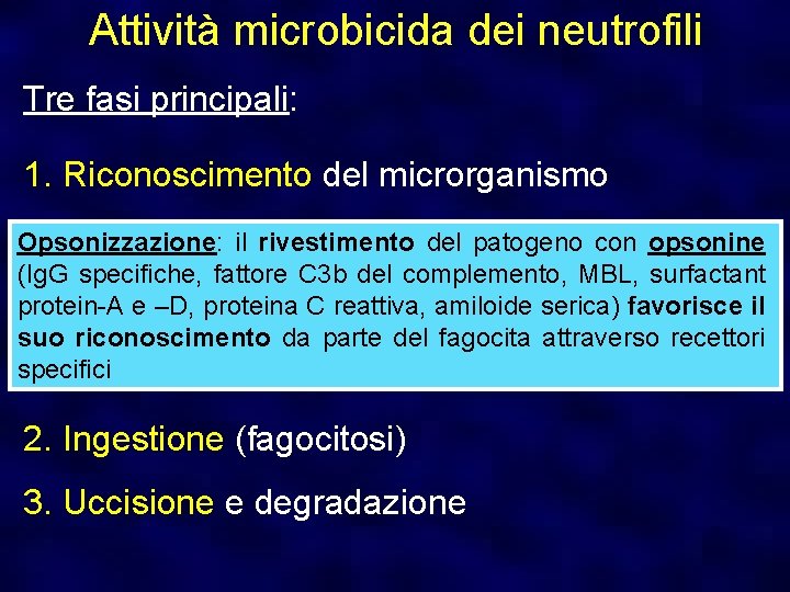 Attività microbicida dei neutrofili Tre fasi principali: 1. Riconoscimento del microrganismo Opsonizzazione: il rivestimento