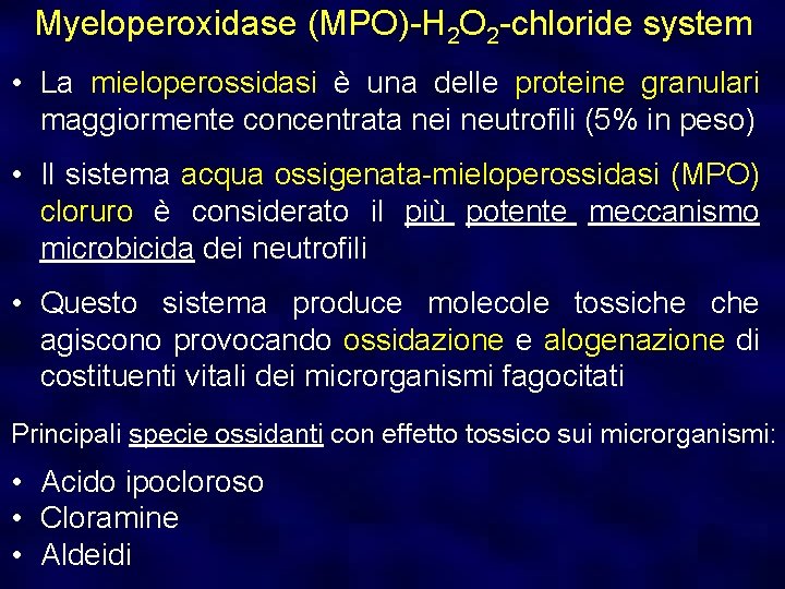 Myeloperoxidase (MPO)-H 2 O 2 -chloride system • La mieloperossidasi è una delle proteine