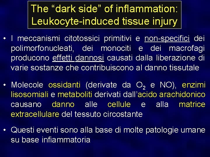 The “dark side” of inflammation: Leukocyte-induced tissue injury • I meccanismi citotossici primitivi e