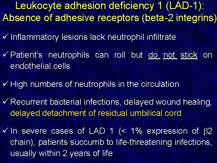 Leukocyte adhesion deficiency 1 (LAD-1): Absence of adhesive receptors (beta-2 integrins) ü Inflammatory lesions