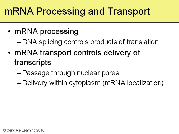 m. RNA Processing and Transport • m. RNA processing – DNA splicing controls products