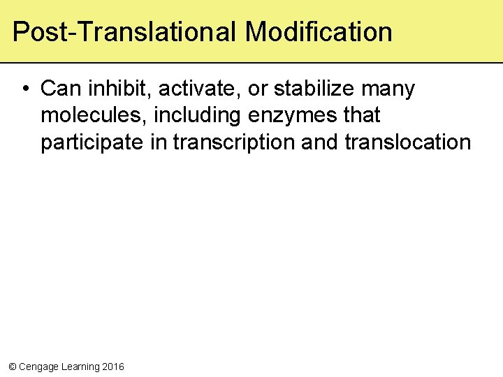 Post-Translational Modification • Can inhibit, activate, or stabilize many molecules, including enzymes that participate