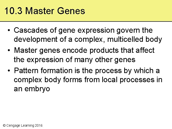 10. 3 Master Genes • Cascades of gene expression govern the development of a