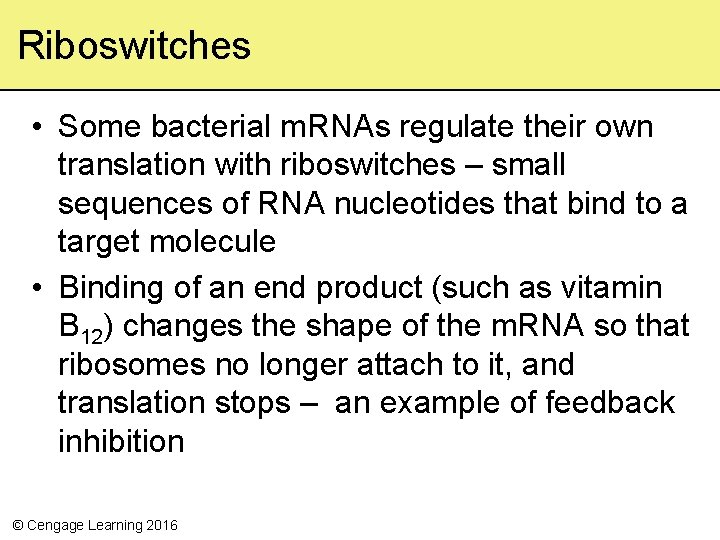 Riboswitches • Some bacterial m. RNAs regulate their own translation with riboswitches – small