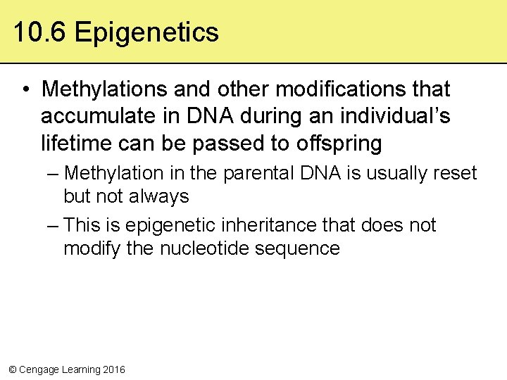 10. 6 Epigenetics • Methylations and other modifications that accumulate in DNA during an