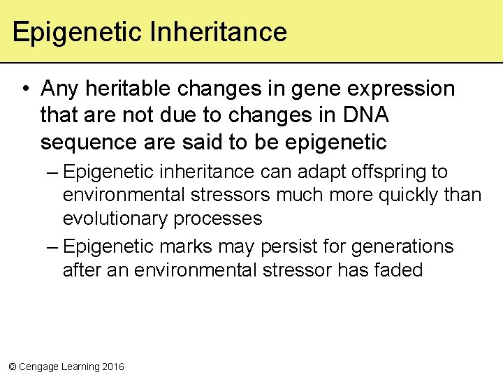 Epigenetic Inheritance • Any heritable changes in gene expression that are not due to