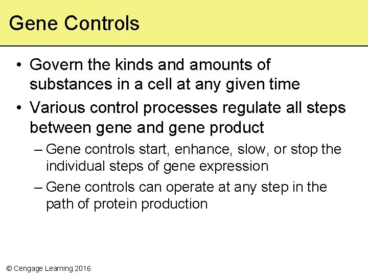 Gene Controls • Govern the kinds and amounts of substances in a cell at