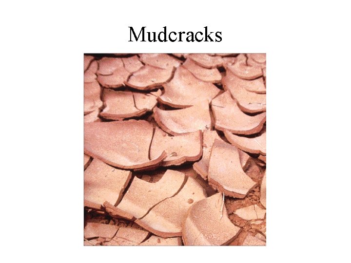 Mudcracks 