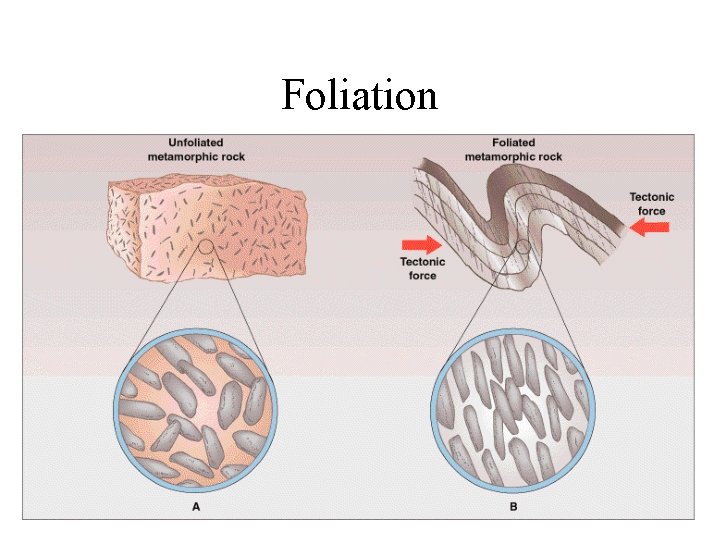 Foliation 