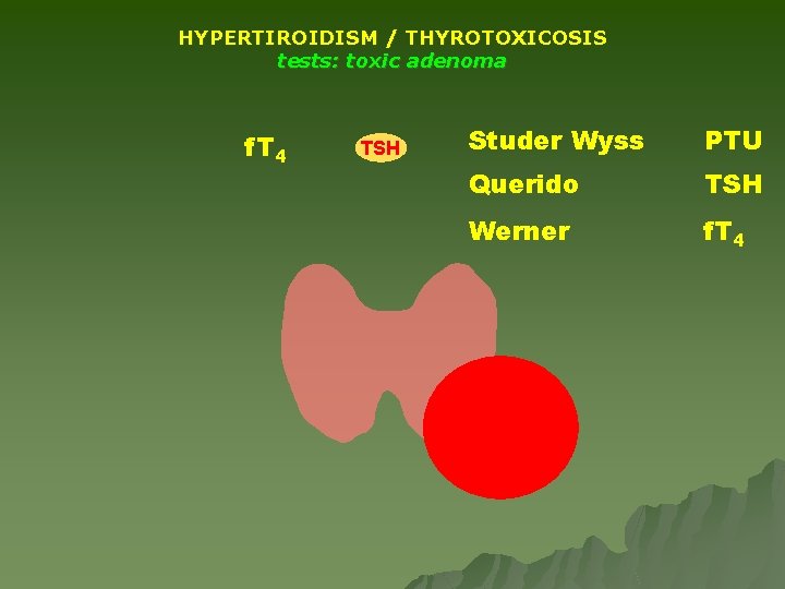 HYPERTIROIDISM / THYROTOXICOSIS tests: toxic adenoma f. T 4 TSH Studer Wyss PTU Querido HYPERTIROIDISM / THYROTOXICOSIS tests: toxic adenoma f. T 4 TSH Studer Wyss PTU Querido