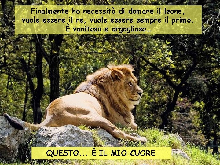 Finalmente ho necessità di domare il leone, vuole essere il re, vuole essere sempre