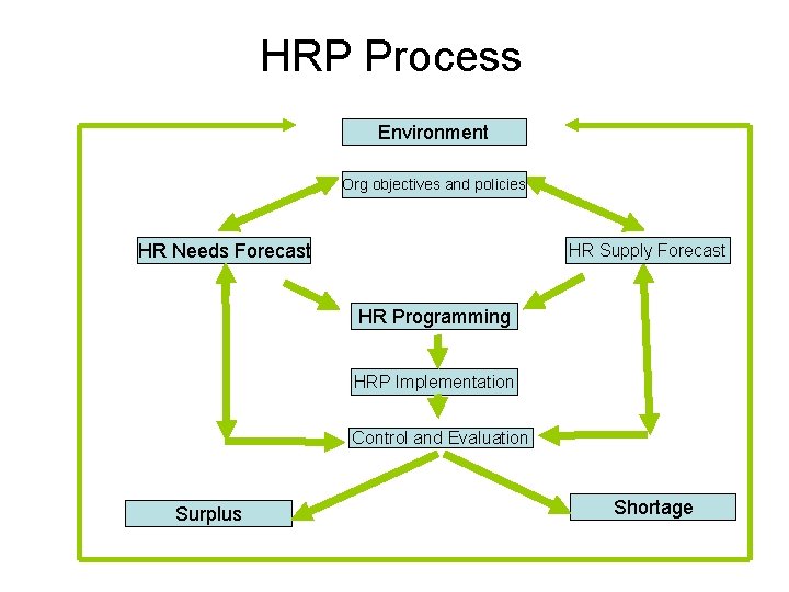 HRP Process Environment Org objectives and policies HR Needs Forecast HR Supply Forecast HR