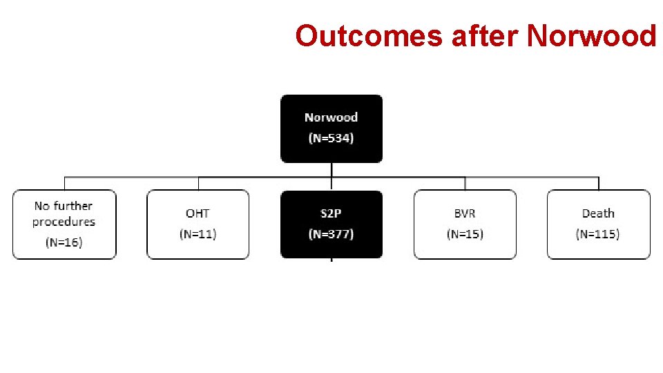 Outcomes after Norwood 