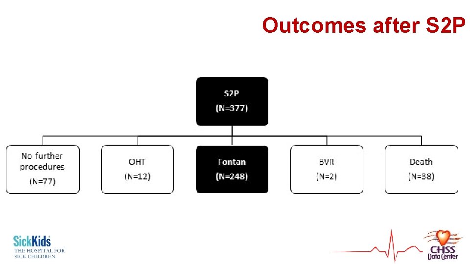 Outcomes after S 2 P 