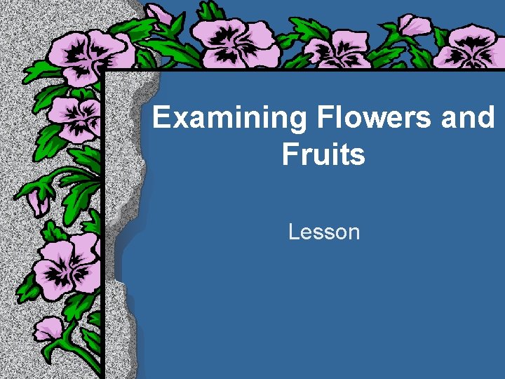 Examining Flowers and Fruits Lesson 