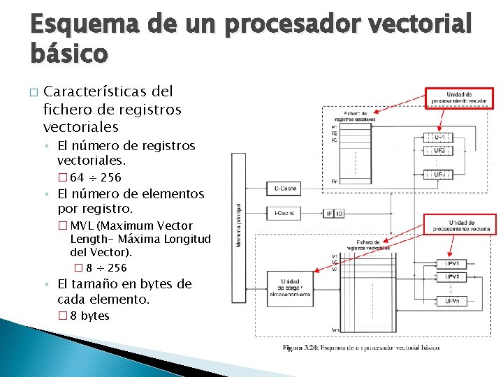 Esquema de un procesador vectorial básico � Características del fichero de registros vectoriales ◦