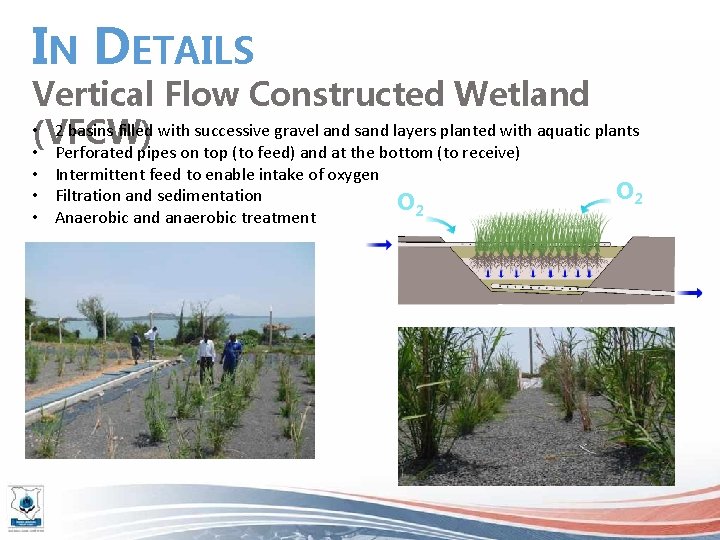 IN DETAILS Vertical Flow Constructed Wetland • (VFCW) 2 basins filled with successive gravel