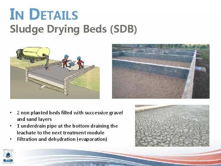 IN DETAILS Sludge Drying Beds (SDB) • 2 non planted beds filled with successive