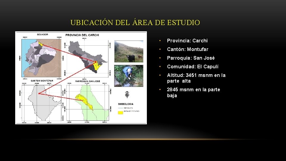  UBICACIÓN DEL ÁREA DE ESTUDIO • Provincia: Carchi • Cantón: Montufar • Parroquia: