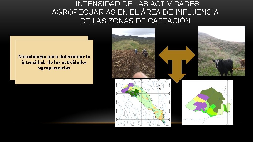  INTENSIDAD DE LAS ACTIVIDADES AGROPECUARIAS EN EL ÁREA DE INFLUENCIA DE LAS ZONAS