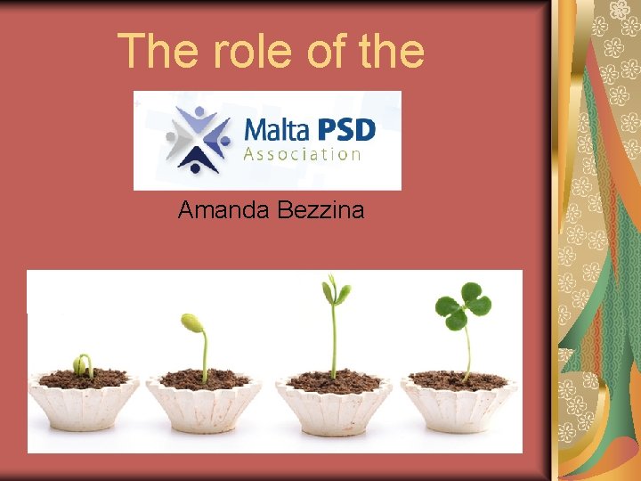 The role of the Amanda Bezzina 
