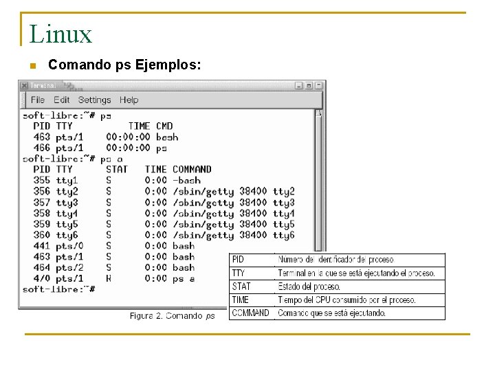 Linux n Comando ps Ejemplos: 