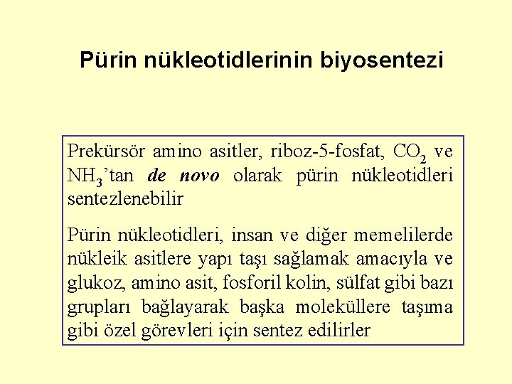 Pürin nükleotidlerinin biyosentezi Prekürsör amino asitler, riboz-5 -fosfat, CO 2 ve NH 3’tan de