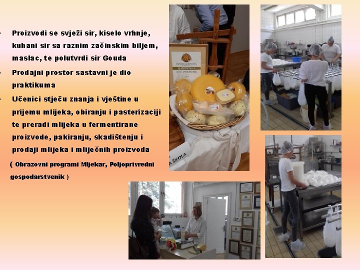  • • • Proizvodi se svježi sir, kiselo vrhnje, kuhani sir sa raznim