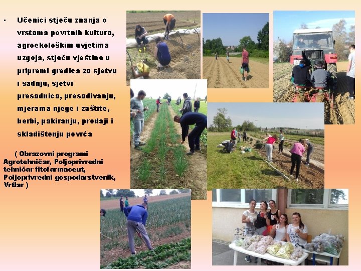  • Učenici stječu znanja o vrstama povrtnih kultura, agroekološkim uvjetima uzgoja, stječu vještine