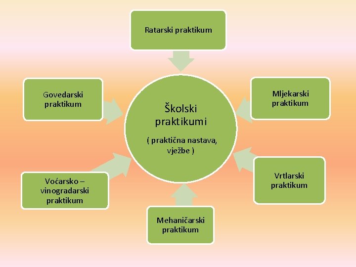 Ratarski praktikum Govedarski praktikum Školski praktikumi Mljekarski praktikum ( praktična nastava, vježbe ) Vrtlarski