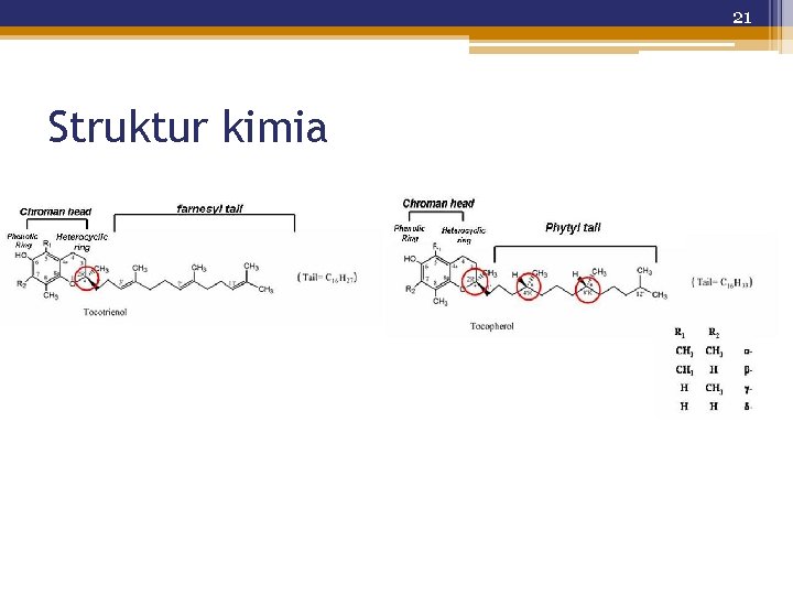 21 Struktur kimia 
